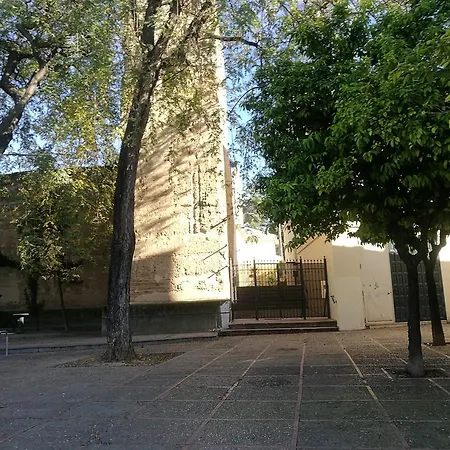Duplex Ancha Con Wifi Y Parking Apartment *